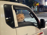 인천분들은 아시겠져 | 보배드림 국산차게시판