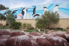 샌디에고 씨월드 수족관 | 보배드림 국산차게시판