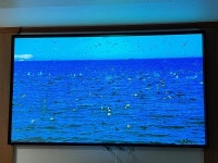 스크린 완료 했습니다!! | 보배드림 국산차게시판