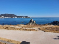 벌) 실시간 기장 오랑대 | 보배드림 국산차게시판