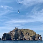 [약스압] 독도에 다녀왔습니다. | 보배드림 국산차게시판