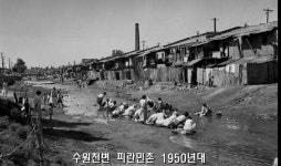 1950-60년대 수원의 모습 | 보배드림 국산차게시판