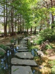 이번 주 세미원 갔다왔는데 | 보배드림 국산차게시판