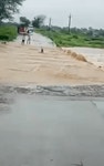 위험해도 개가 강을 건넌 이유.gif | 보배드림 국산차게시판