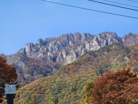 K9 첫 장거리 담양 다녀왔습니다 | 보배드림 베스트글