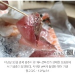 지난 일욜, 충주하나로마트 방어회 사드신분들, | 보배드림 국산차게시판
