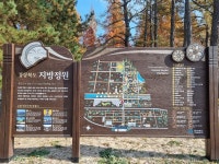 어제 갔었던 경북천년숲정원 | 보배드림 국산차게시판