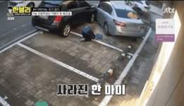 9살 아이의 악몽의 등교길 | 보배드림 베스트글