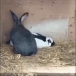 (후방)국게인 여러분!! 올 한해 수고많으셨습니다 | 보배드림 국산차게시판