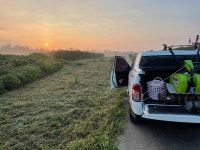 평택 상징 쌍용차 | 보배드림 국산차게시판