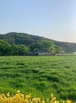 날씨가 좋아 치고나감 ㅇㅇ | 보배드림 국산차게시판