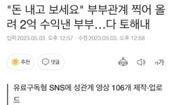 온니팬스 부부 2억 수익 환수 | 보배드림 국산차게시판