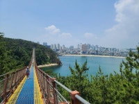 울산 출렁다리는 진짜 잘만들었던데요 | 보배드림 베스트글