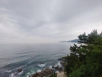 망양휴게소 | 보배드림 국산차게시판