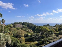 실시간 제주 | 보배드림 국산차게시판