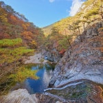 1)10월 29일자 주왕산 단풍상황입니다. | 보배드림 국산차게시판
