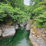 지리(山)고 왔습니다. | 보배드림 국산차게시판