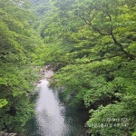 지리(山)고 왔습니다. | 보배드림 국산차게시판