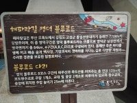 죽도산 블루로드 현수교 (영덕군 축산항) | 보배드림 국산차게시판
