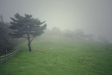 양떼목장 다녀왔습니다+_+ | 보배드림 국산차게시판