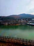 발로그 보러 왔다가 커피만 마시고 가지요. | 보배드림 국산차게시판