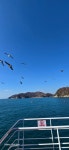 욕지도 들어왔습니다~ | 보배드림 국산차게시판