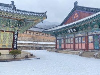 해인사 | 보배드림 국산차게시판