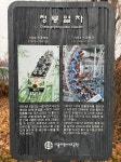 청룡열차 | 보배드림 국산차게시판