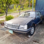 누군가의 셔터에 찍힌 로얄살롱슈퍼 | 보배드림 국산차게시판