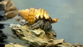 주말에 집안 디테일링 후 | 보배드림 국산차게시판