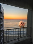 오늘은 그랜져 | 보배드림 국산차게시판