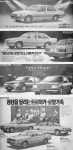 대우 로얄 시리즈 | 보배드림 국산차게시판