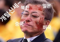 남한만 개털된답니다 | 보배드림 정치게시판