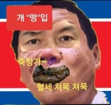 개떵입 | 보배드림 정치게시판