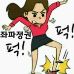 샤바쉐꺄 | 보배드림 정치게시판