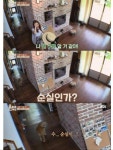 국정농단 한년~ | 보배드림 정치게시판