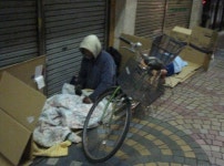 조국이 사퇴해도 | 보배드림 정치게시판
