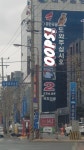 역쉬 왜국당.. 변화의 대구.. | 보배드림 정치게시판