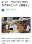 박근혜정부때 만들어진 방역 시스템? | 보배드림 정치게시판