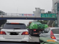 문정권이 지금독재인가요? | 보배드림 정치게시판