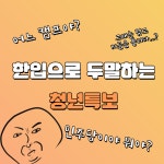 한 입 갖고 두 말하는 사람보소 | 보배드림 정치게시판