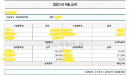 내가 직딩이네 아니네 연봉이 3~4천이네 말이나와서 | 보배드림 정치게시판