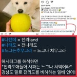 윤두한 5.18 망언 관련 짤 모음 | 보배드림 정치게시판