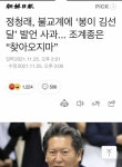 봉이 정선달 | 보배드림 정치게시판