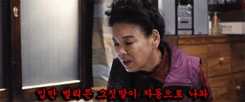 입만 쳐열면 거짓말이 콸콸콸~~ | 보배드림 정치게시판