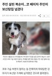 복순아 ㅜㅜ | 보배드림 정치게시판