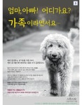 아빠어디가? | 보배드림 정치게시판