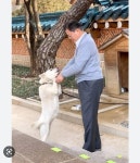 문재인 수익률 7500% ㄷㄷㄷ | 보배드림 정치게시판