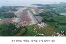 [속보]윤 대통령, 공직기강비서관실에 태양광사업 의사 | 보배드림 정치게시판