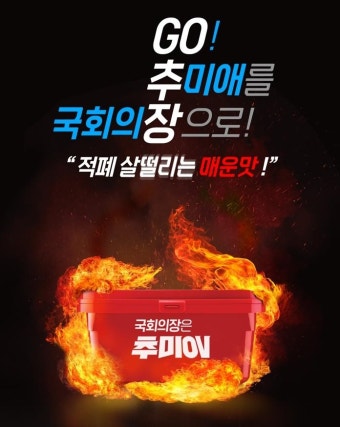 고추장(go 추미애 국회의장) 웹자보 나왔습니다!!! | 보배드림 정치게시판